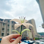 Handmade French Beaded Lily Flower Stem | Luxury Everlasting Floral Decor