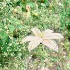 Handmade French Beaded Lily Flower Stem | Luxury Everlasting Floral Decor