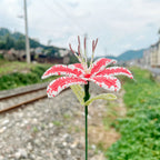 Handmade French Beaded Lily Blossom Stem | Artisan Everlasting Floral Decor