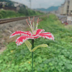 Handmade French Beaded Lily Blossom Stem | Artisan Everlasting Floral Decor